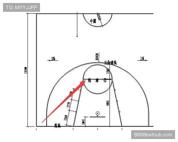 详解FIBA和NBA规则区别的具体执行标准